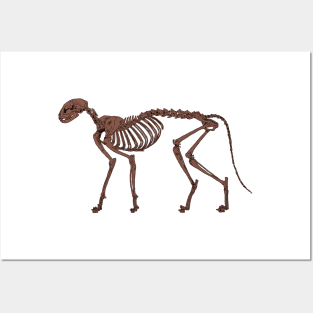 Cat Skeleton Fossilized Posters and Art